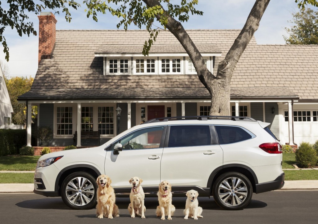 Meet Subaru's Barkleys in 'Dog Tested. Dog Approved' CarSifu