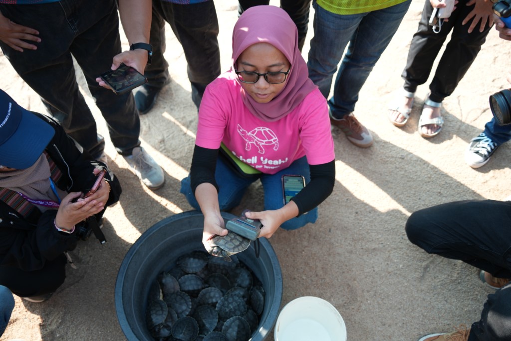 Photo 6 - A TCS staff member scans a terrapin to ensure it has been tagged before releasing it to the river (Custom)