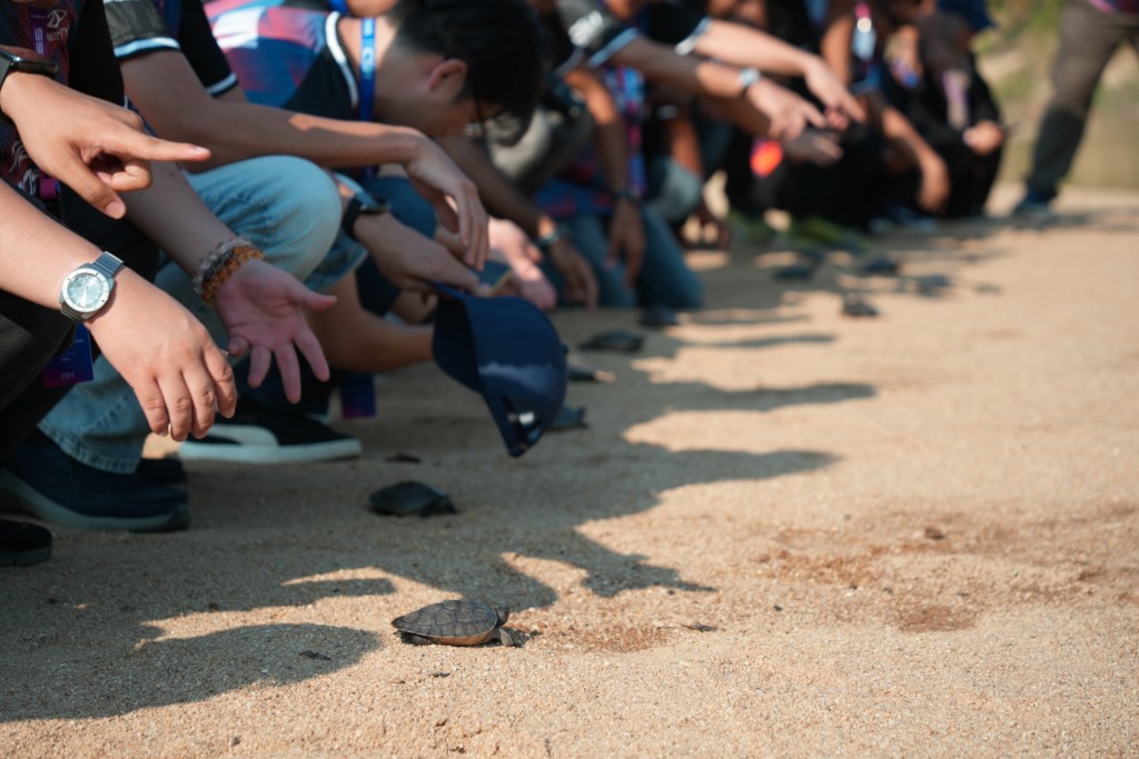 Photo 8 - Releasing river terrapins along the Kemanan river. (Custom)