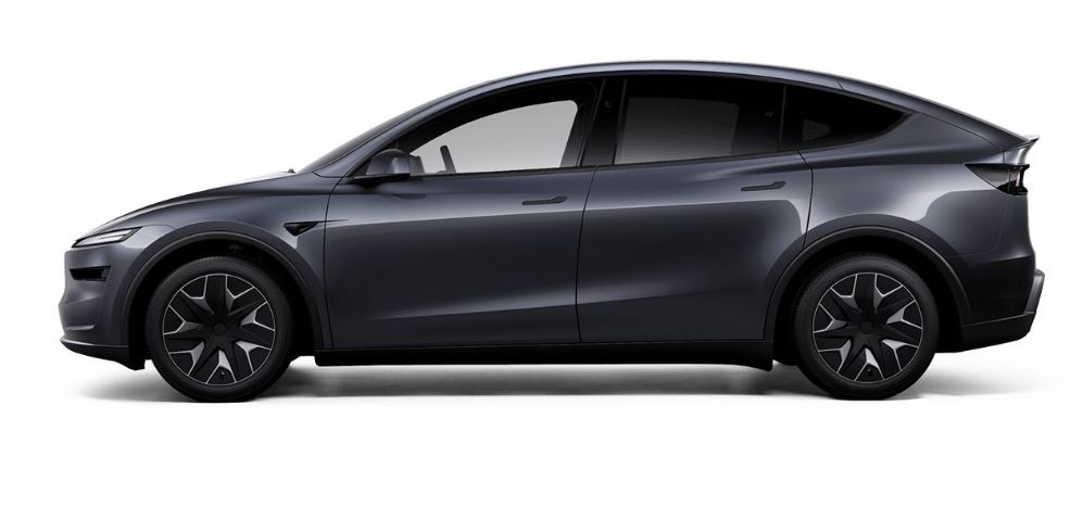 T model Y L new01 crop