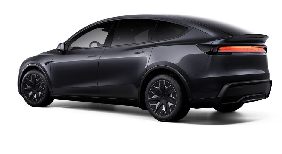 T model Y L new02 crop