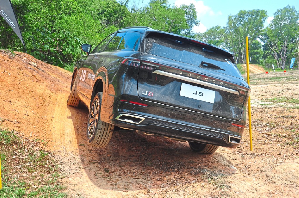 3489281.JPG (Custom)