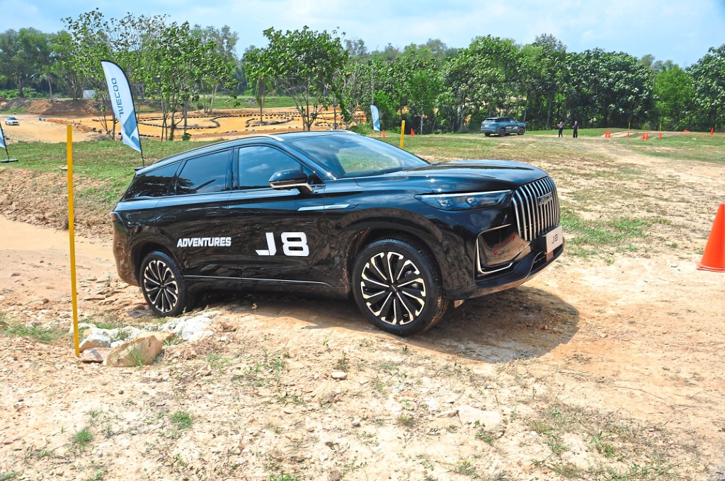 3489282.JPG (Custom)