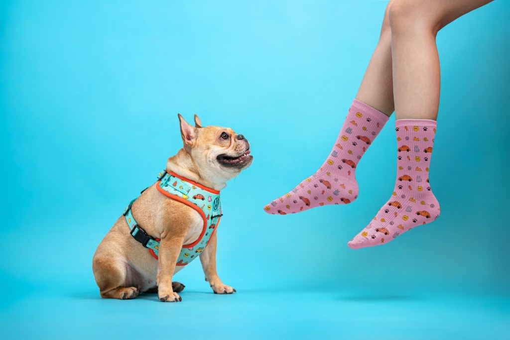 VW25_Socks-1-SW (Custom)